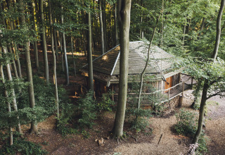 Capanna ottagonale in legno immersa nella foresta, glamping Baumhausherberge Robins Nest in Assia, Germania.