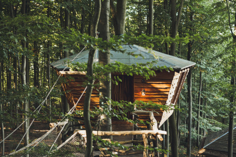 Træhushytte i skoven fra Baumhausherberge Robins Nest - Boomhutten Hessen, glampingoplevelse.
