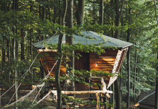 Træhushytte i skoven fra Baumhausherberge Robins Nest - Boomhutten Hessen, glampingoplevelse.