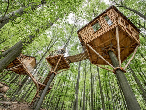 Luxe boomhutten in het bos, Baumhausherberge Robins Nest, unieke glamping in Hessen, Duitsland