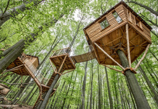 Cabañas en los árboles de lujo en el bosque, Baumhausherberge Robins Nest, glamping único en Hessen, Alemania