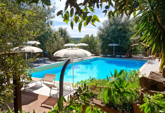 Piscina all’aperto con sdraio e ombrelloni, circondata dal verde presso Agriturismo & Glamping Serraiola Alta in Toscana.