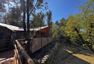 Glampingaccommodatie met houten terras en tent, omgeven door bos bij Agriturismo & Glamping Serraiola Alta, Toscane.