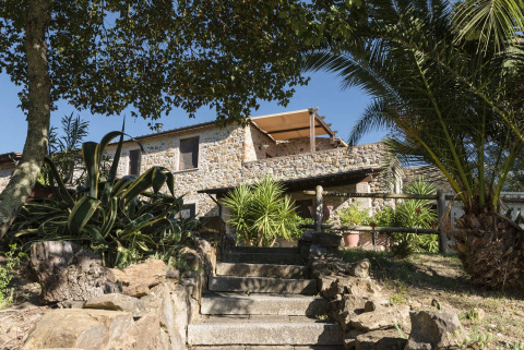 Steinhaus unter Palmen im Agriturismo & Glamping Serraiola Alta, Glampingtenten in der Toskana.