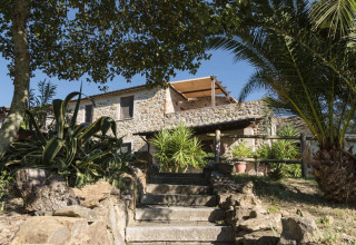 Maison en pierre entourée de palmiers à l'Agriturismo & Glamping Serraiola Alta, glamping en Toscane.