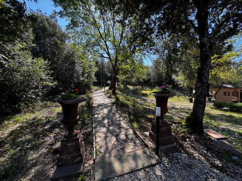 Stone path through natural greenery at Agriturismo & Glamping Serraiola Alta, Tuscany glamping accommodation.