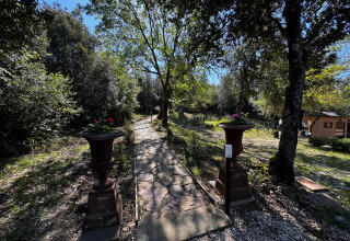 Sendero de piedra entre árboles en Agriturismo & Glamping Serraiola Alta, alojamiento glamping en Toscana.