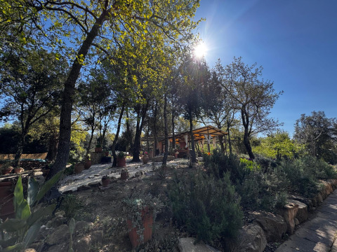 Alojamiento glamping entre árboles con sol en Agriturismo & Glamping Serraiola Alta en la Toscana, Italia.