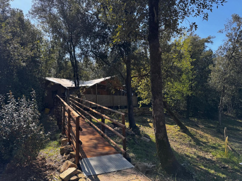 Houten brug naar glampingtent bij Agriturismo & Glamping Serraiola Alta, omringd door Toscaans bos.