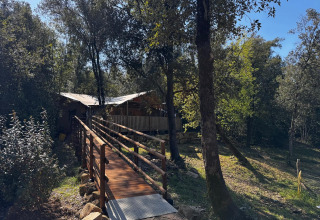 Pont en bois menant à une tente de glamping chez Agriturismo & Glamping Serraiola Alta, forêt toscane autour.
