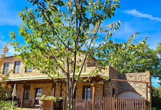 Steinhaus mit Garten und Baum bei Agriturismo & Glamping Serraiola Alta in der Toskana, Italien.