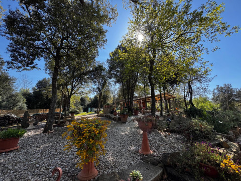 Jardin ensoleillé, arbres, pots de fleurs et tentes glamping à Serraiola Alta, en pleine nature toscane.