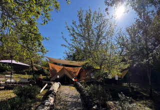 Glamping-accommodatie bij Agriturismo & Glamping Serraiola Alta tussen zonovergoten bomen in Toscane.