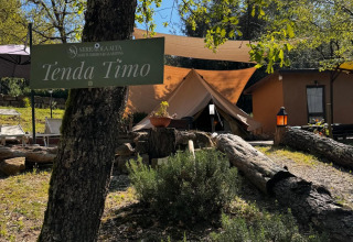 Glamping accommodation at Agriturismo & Glamping Serraiola Alta in Tuscany featuring spacious tents in nature.