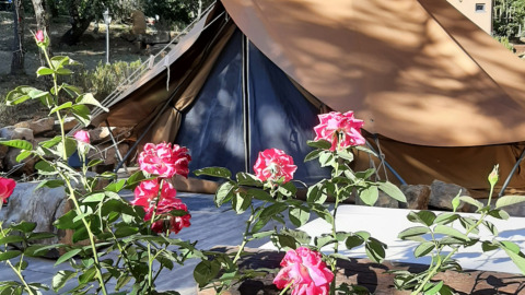 Glampingtelt hos Agriturismo & Glamping Serraiola Alta i Toscana med blomstrende roser foran teltet.
