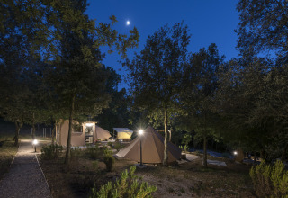 Glampingområdet Serraiola Alta i Toscana om natten med oplyste telte under træer og en klar himmel.