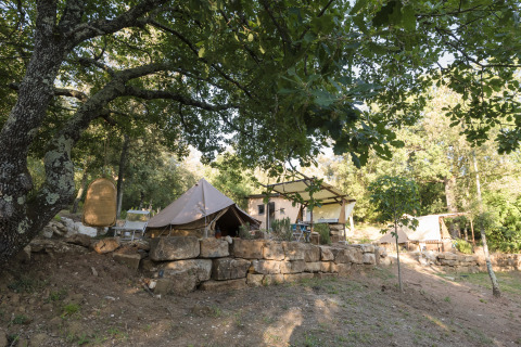 Glamping tents at Agriturismo & Glamping Serraiola Alta surrounded by trees in Tuscany, Italy.