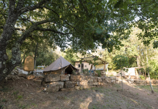 Glamping Unterkunft bei Agriturismo & Glamping Serraiola Alta, umgeben von Bäumen in der Toskana.