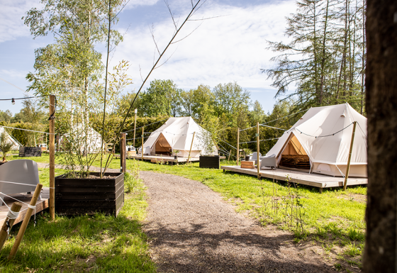 Luxury glamping tents at Landgoed Lindehof – Glamp Lodges Friesland, surrounded by greenery and trees.