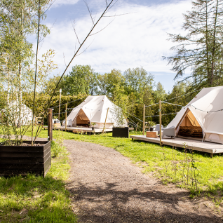 Moderne glamping-telte på Landgoed Lindehof – Glamp Lodges Friesland, omgivet af natur og træer.