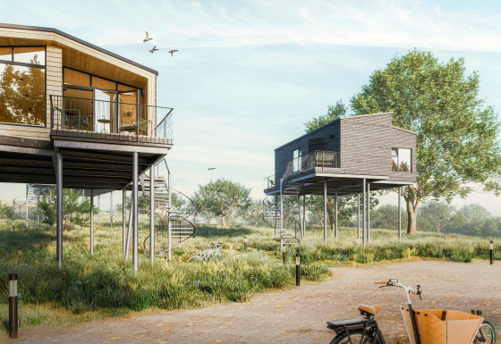 Moderne trætophytter på pæle i grøn natur, en del af Ostsee Baumhaus glamping ved Østersøen i Slesvig-Holsten.