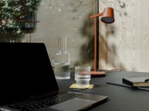 Werkplek met laptop en lamp in Ostsee Baumhaus aan de Oostzee, Boomhutten Sleeswijk-Holstein, natuurzicht.