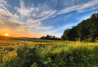Sunset over a green meadow near Ostsee Baumhaus aan de Oostzee - Boomhutten Schleswig-Holstein, glamping site.