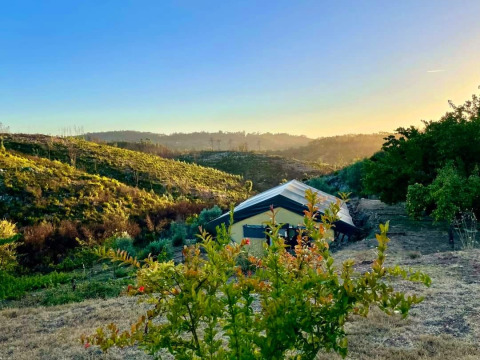 Alojamiento glamping en Quinta Vida Verde, Portugal, en medio de verdes colinas al atardecer.