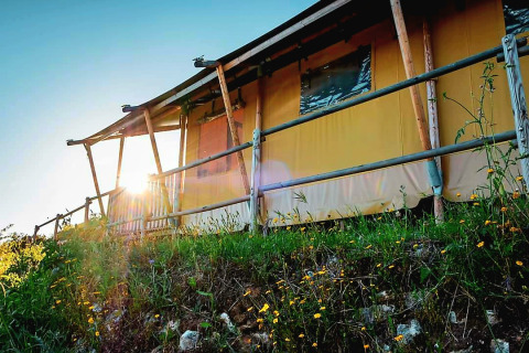 Glamping accommodation at Quinta Vida Verde in Portugal, viewed from a hillside with wildflowers at sunrise.
