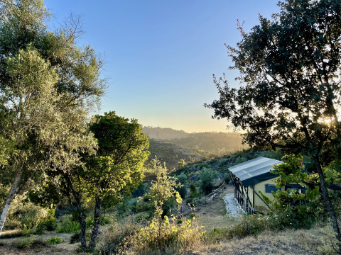 Glamping accommodatie bij Quinta Vida Verde in Portugal, tussen heuvels, bomen en prachtig ochtendlicht.