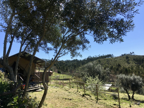 Glamping accommodation at Quinta Vida Verde in Portugal, scenic landscape with tents and rolling hills.
