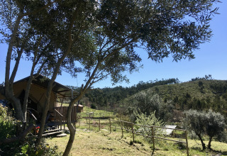 Hébergement glamping à Quinta Vida Verde au Portugal, tente dans un cadre rural verdoyant et paisible.