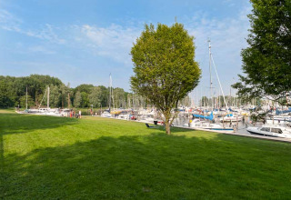 Grüner Park mit Bäumen und Bootshafen voller Yachten in Marina Parcs Naarden, Nordholland, Niederlande.
