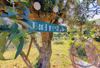 Sign reading 'Bird nest' hanging in a tree at Quinta Vida Verde Glamping Portugal, with green scenery around.