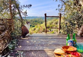 Eine Katze sitzt auf einer Holzterrasse, umgeben von Bäumen, mit Essen und Getränken bei Quinta Vida Verde Glamping.
