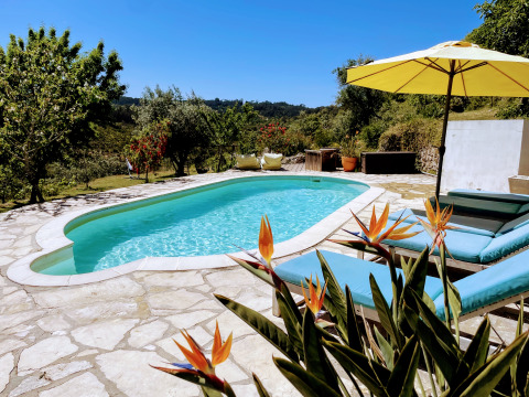 Zwembad, ligbedden en gele parasol bij Quinta Vida Verde - Glamping Portugal, omringd door natuur.
