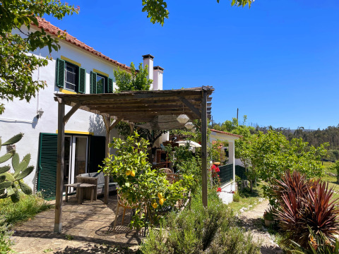 Terrasse und Gartenbereich von Quinta Vida Verde Glamping Portugal, umgeben von Natur und blauem Himmel.