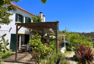 Area patio esterna di Quinta Vida Verde - Glamping Portugal, immersa nel verde con cielo azzurro limpido.