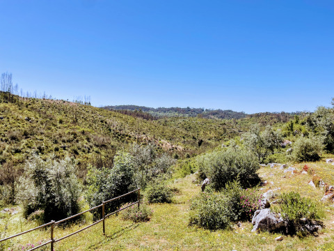 Weitläufige grüne Hügel unter blauem Himmel bei Quinta Vida Verde - Glamping Portugal, ideal zum Camping.