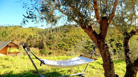 Hangmat onder een boom bij Quinta Vida Verde Glamping Portugal, omgeven door groene heuvels en natuur.