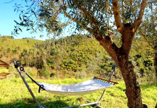 Amaca sotto un albero a Quinta Vida Verde Glamping Portugal circondata da colline verdi e natura.