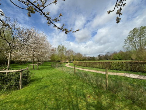 Green lawns and blossoming trees at Urban Gardens Ieper, Glampingtenten West-Vlaanderen glamping area.