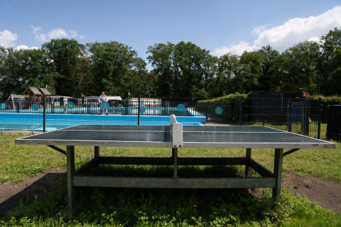 Udendørs bordtennisbord på Camping Twente - Chalet Overijssel med pool og grønne omgivelser i baggrunden.
