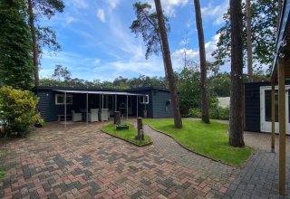 Buitenaanzicht van glampingaccommodatie Camping Twente - Chalet Overijssel, omringd door hoge bomen en groen.