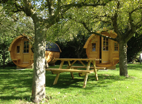 Cabanes tonneaux pour glamping au Minicamping De Bokkepsprong en Zélande, Pays-Bas, avec table de pique-nique sous les arbres.