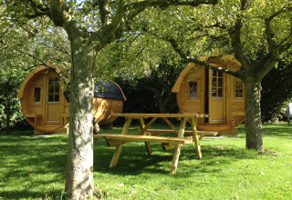 Glamping wijnvaten bij Minicamping De Bokkepsprong in Zeeland, Nederland, met picknicktafel onder de bomen.