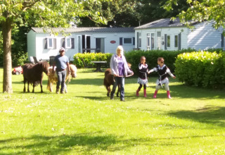 Family with ponies and children playing in front of glamping lodges at Minicamping De Bokkepsprong, Zeeland.