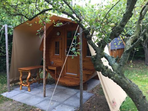 Hébergement glamping au Minicamping De Bokkepsprong en Zélande, Pays-Bas, avec cabanes en fût de vin en plein air.