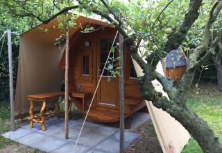 Hébergement glamping au Minicamping De Bokkepsprong en Zélande, Pays-Bas, avec cabanes en fût de vin en plein air.