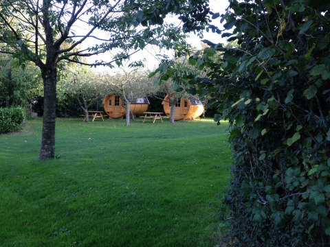 Glamping accommodation in wooden wine barrels at Minicamping De Bokkepsprong, surrounded by greenery in Zeeland.